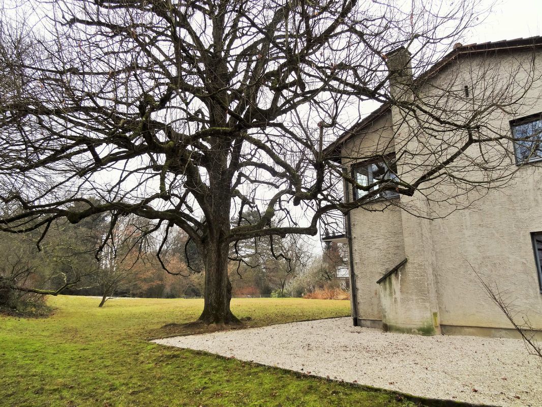 0000005-1300x800_F – trimag.ch – herzlich willkommen!